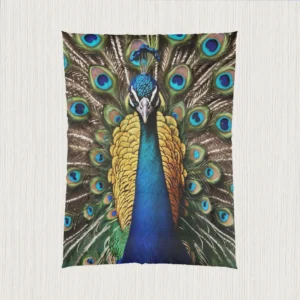 Flat view of a comforter showcasing a full-color peacock with its tail feathers spread out