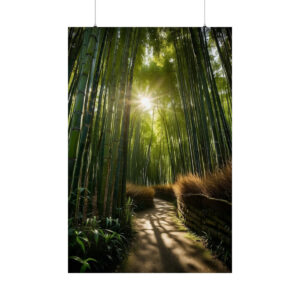 Sunlight streaming through bamboo trees onto a peaceful forest path