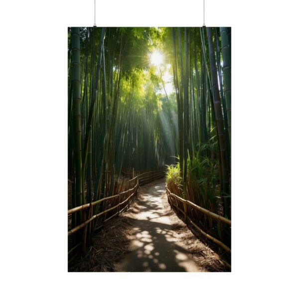 Sunlight filtering through bamboo trees onto a winding forest path