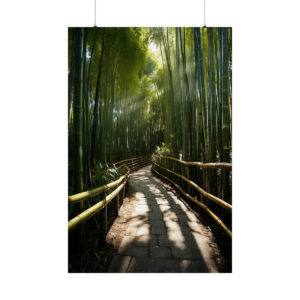 Sunlight illuminating a pathway through a peaceful bamboo forest