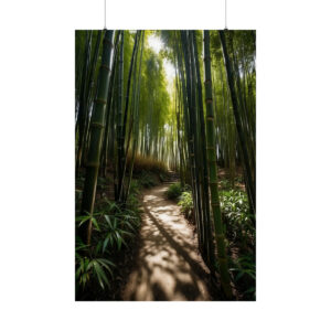 Sunlight casting shadows on a path through a tranquil bamboo forest