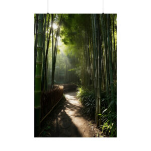 Sunlight filtering through a bamboo forest onto a serene path