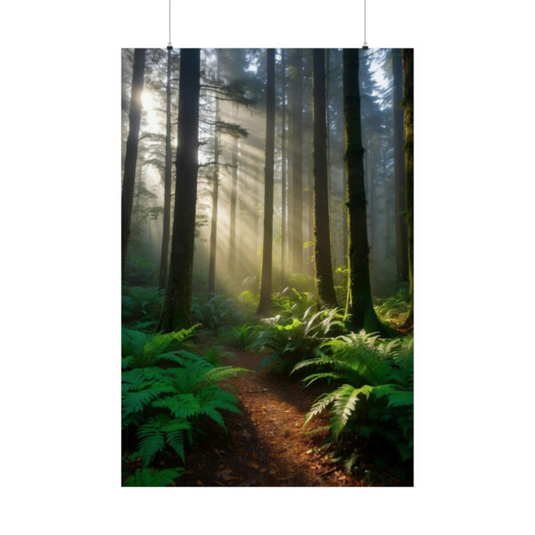 sunlight streaming through tall trees in a misty forest with a dirt path and lush green ferns