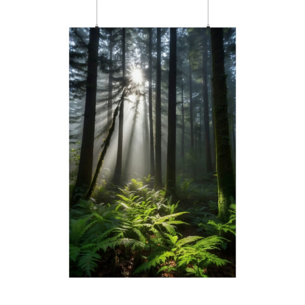 sunlight shining through tall trees in a misty forest with lush green ferns