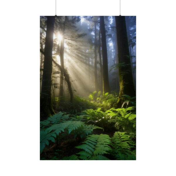 sunlight streaming through tall trees in a misty forest with lush green ferns