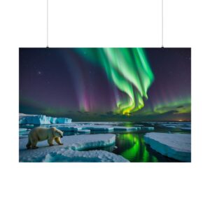 northern lights over icy landscape with a polar bear and floating icebergs reflected in calm water