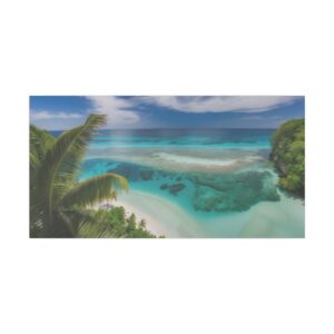 tropical beach with clear turquoise water and coral reef