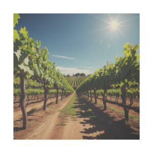 Sunlit vineyard with rows of grapevines stretching into the distance under a clear blue sky