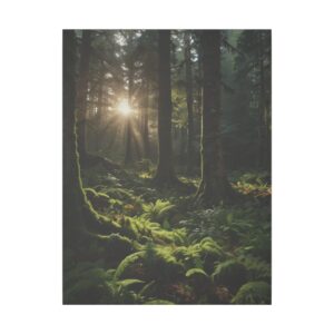 Sunlight streaming through tall trees onto a lush forest floor covered with ferns