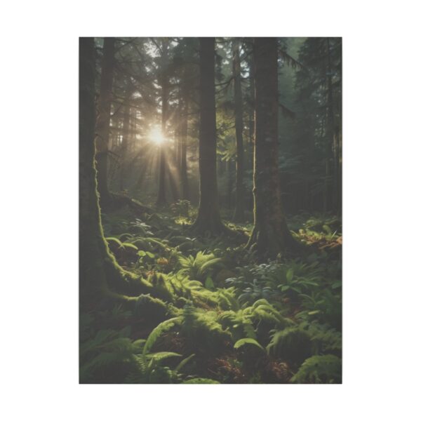 Sunlight streaming through tall trees onto a lush forest floor covered with ferns