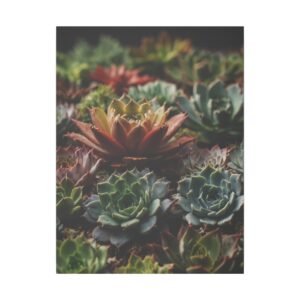 close-up of a variety of colorful succulents in a garden