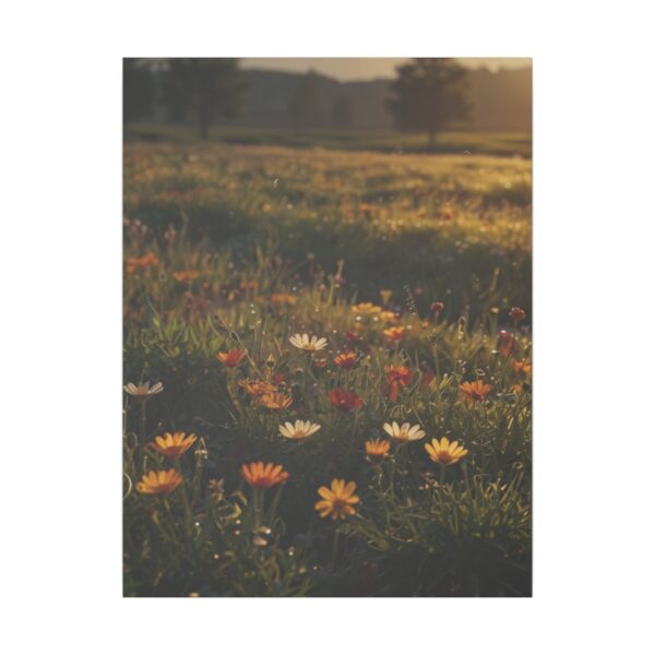 Wildflowers blooming in a sunlit field during the golden hour